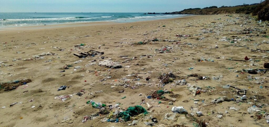 A polluted beach which is the consequence of our throw away lifestyle and consumerism.